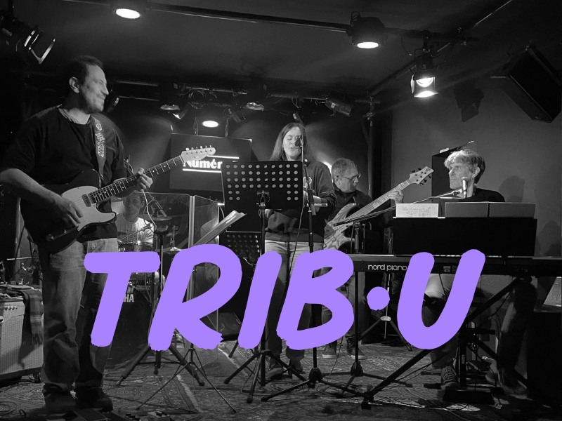 trib•u